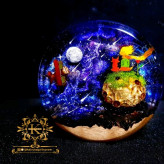 شازده کوچولو