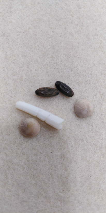 مار