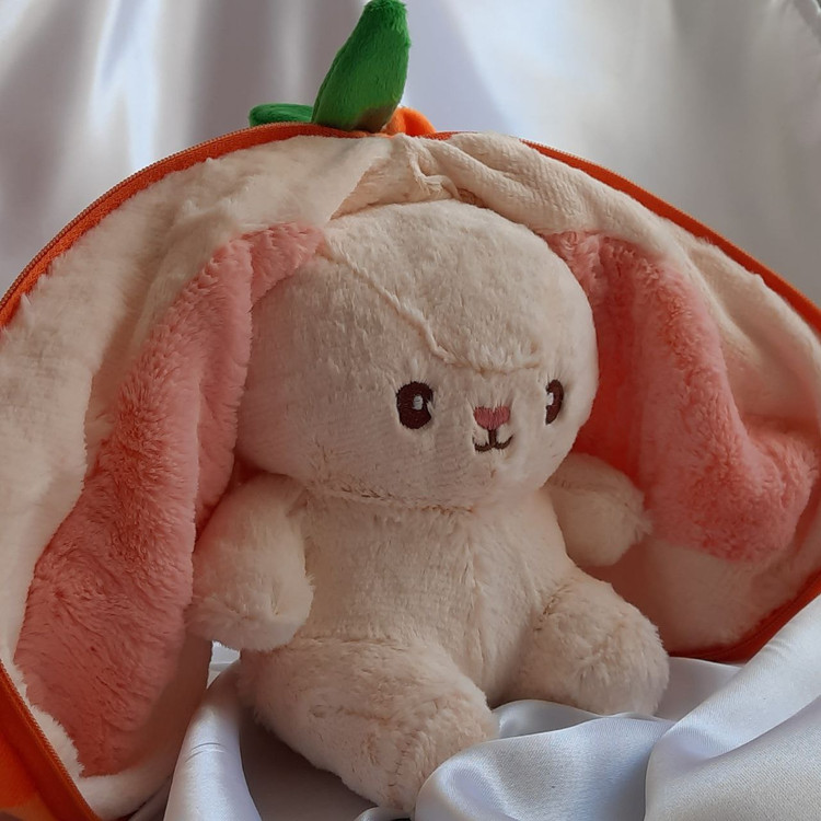 خرگوش سوپرایز